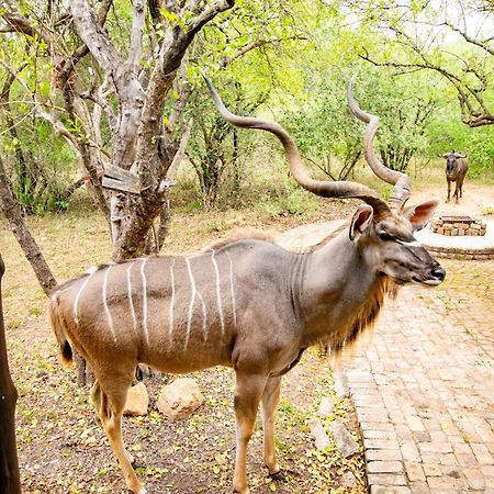 Adventure Bush House Villa Marloth Park Exterior photo