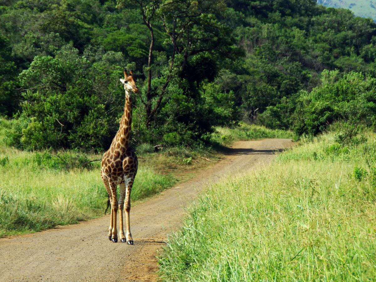 Adventure Bush House Villa Marloth Park Exterior photo