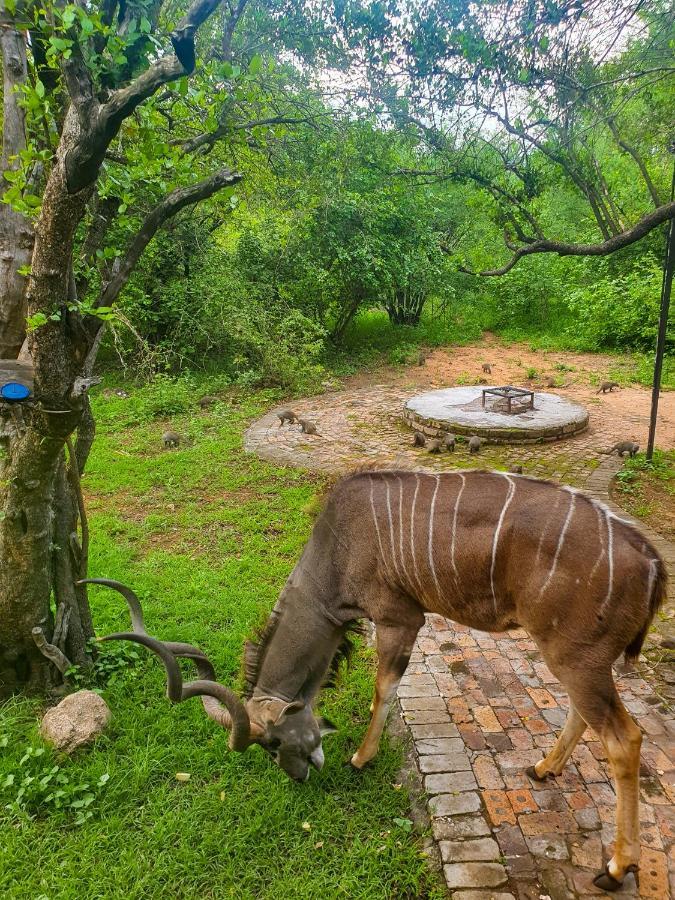 Adventure Bush House Villa Marloth Park Exterior photo