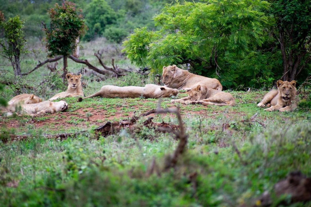 Adventure Bush House Villa Marloth Park Exterior photo