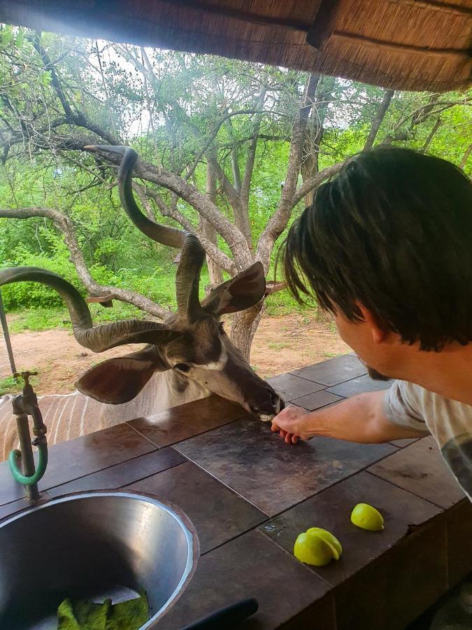 Adventure Bush House Villa Marloth Park Exterior photo