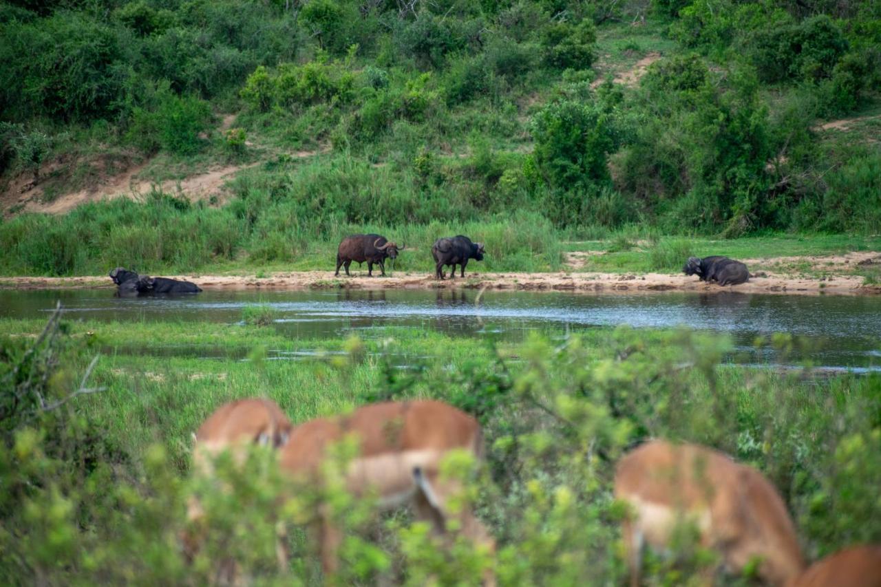 Adventure Bush House Villa Marloth Park Exterior photo