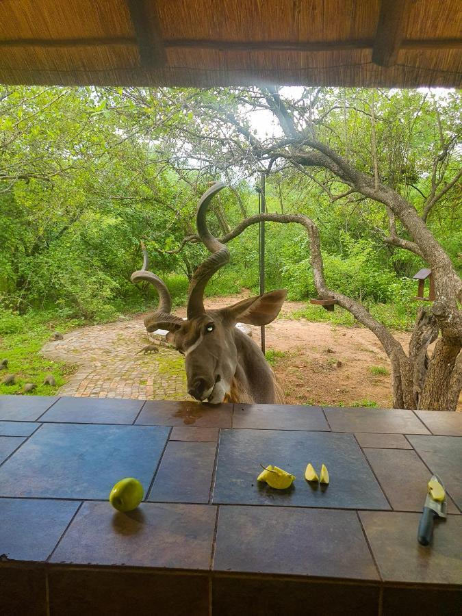 Adventure Bush House Villa Marloth Park Exterior photo