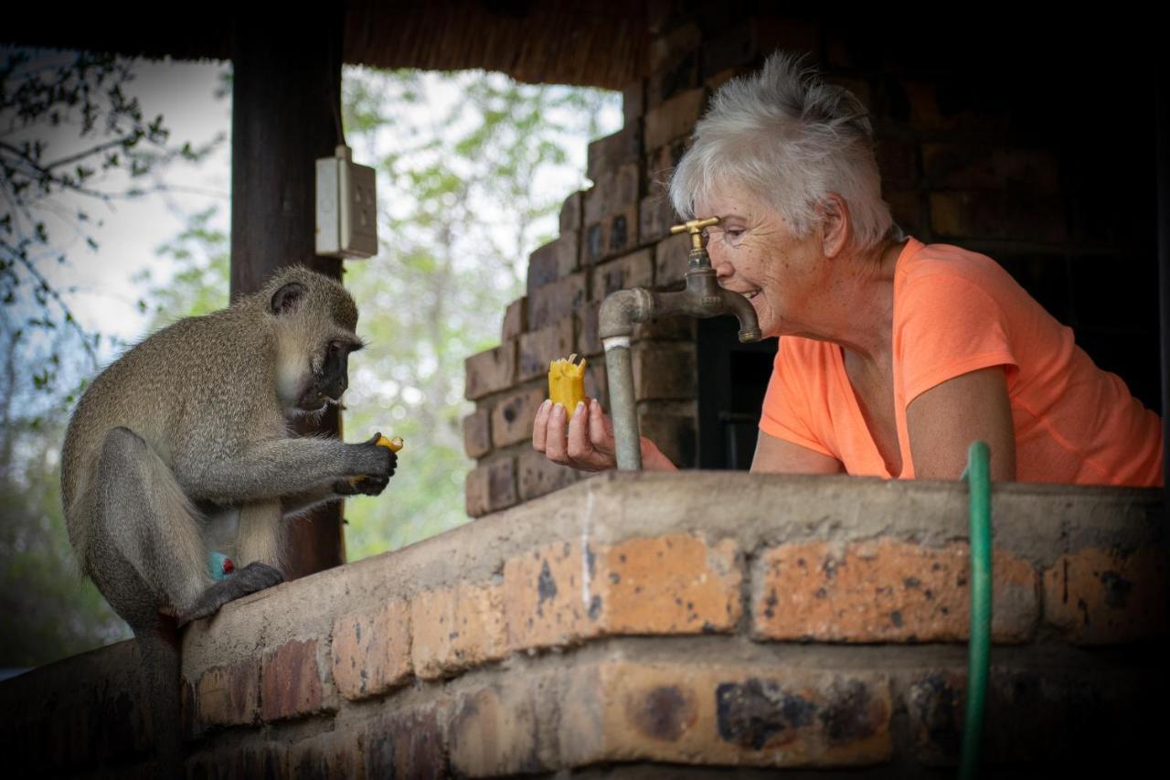 Adventure Bush House Villa Marloth Park Exterior photo